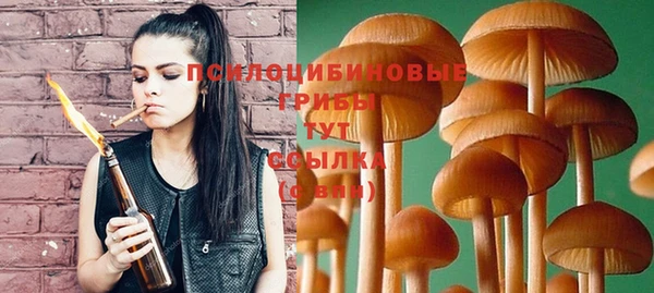 2c-b Волосово