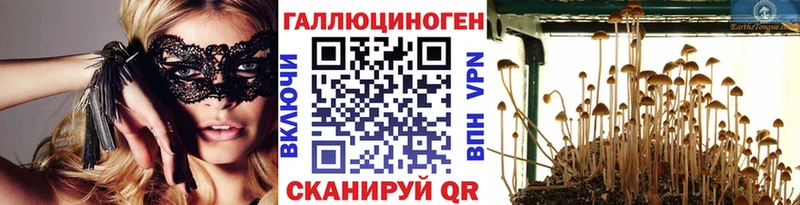 Псилоцибиновые грибы прущие грибы  Тамбов 